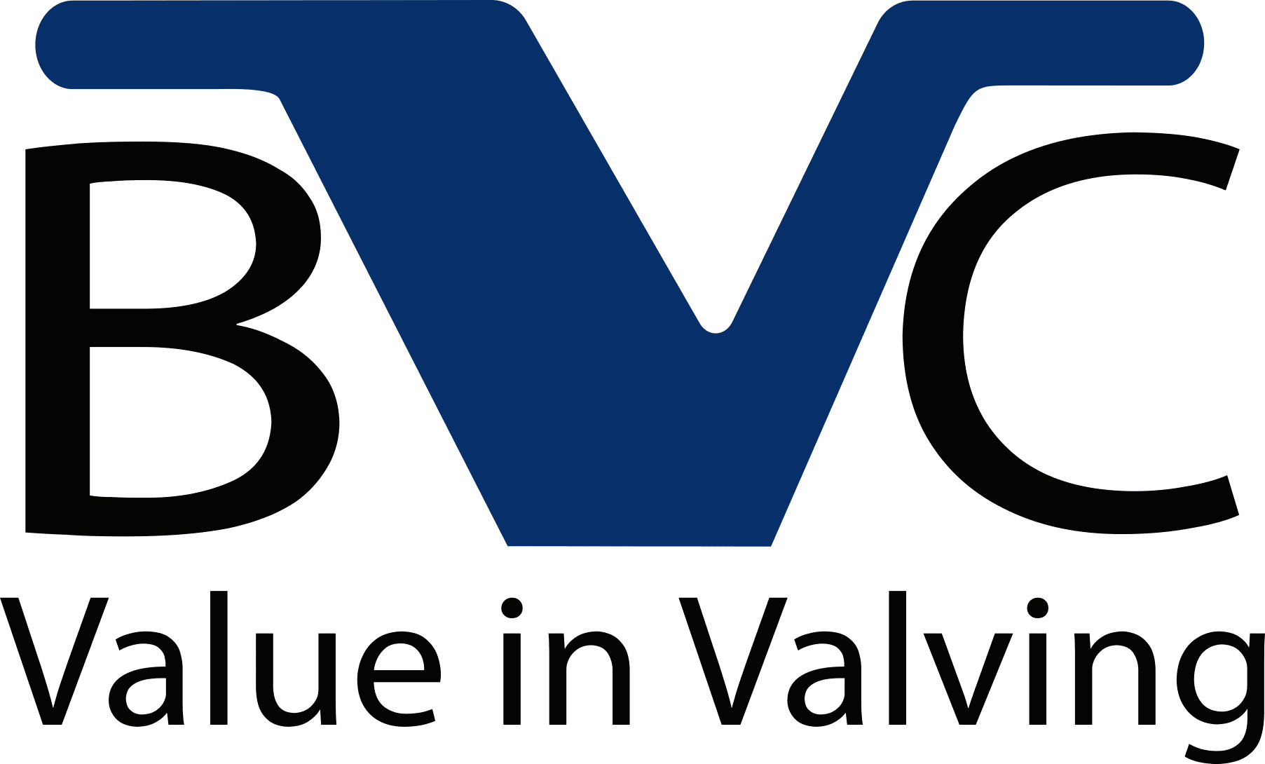 BVC Value in Valving Logo